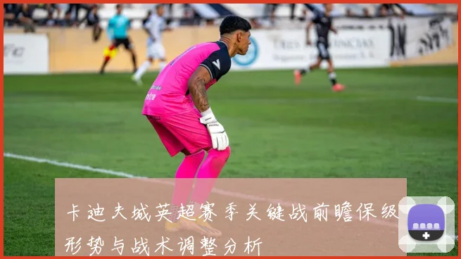 卡迪夫城英超赛季关键战前瞻保级形势与战术调整分析